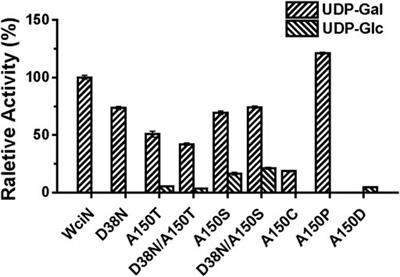 Biochemical Characterization and Synthetic Application of WciN and Its Mutants From Streptococcus pneumoniae Serotype 6B